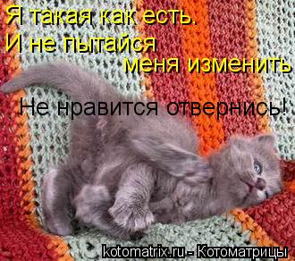 Я такая как есть. И не пытайся меня изменить Не нравится отвернись!... Котоматрица: Я такая как есть. И не пытайся меня изменить Не нравится отвернись!