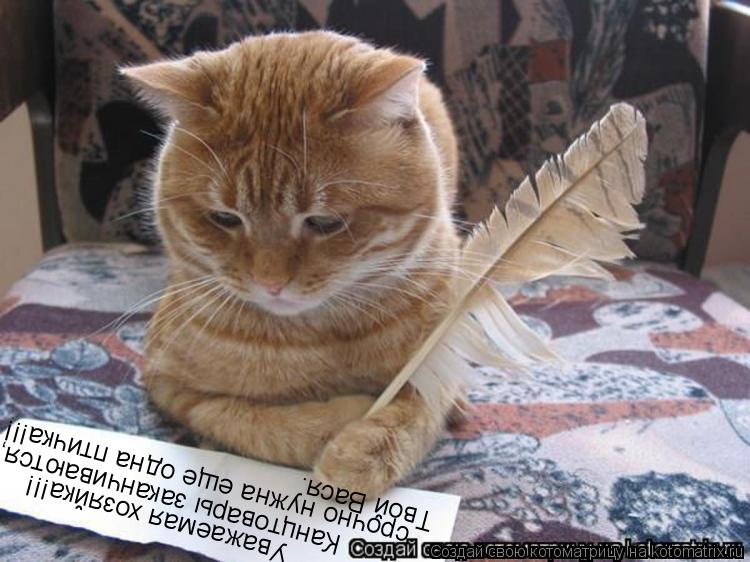 Уважаемая хозяйка!!! Канцтовары заканчиваются, срочно нужна еще одна птичка!!! Твой Вася.... Котоматрица: Уважаемая хозяйка!!! Канцтовары заканчиваются, срочно нужна еще одна птичка!!! Твой Вася.