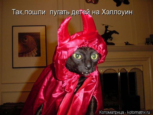 Так,пошли пугать детей на Хэллоуин... Котоматрица: Так,пошли пугать детей на Хэллоуин