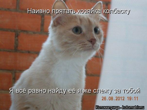 Наивно прятать хозяйка колбаску Я всё равно найду её я же слежу за тобой... Котоматрица: Наивно прятать хозяйка колбаску Я всё равно найду её я же слежу за тобой