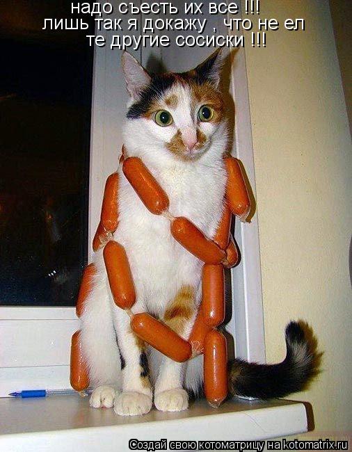 надо съесть их все !!! лишь так я докажу , что не ел те другие сосиски !!!... Котоматрица: надо съесть их все !!! лишь так я докажу , что не ел те другие сосиски !!!