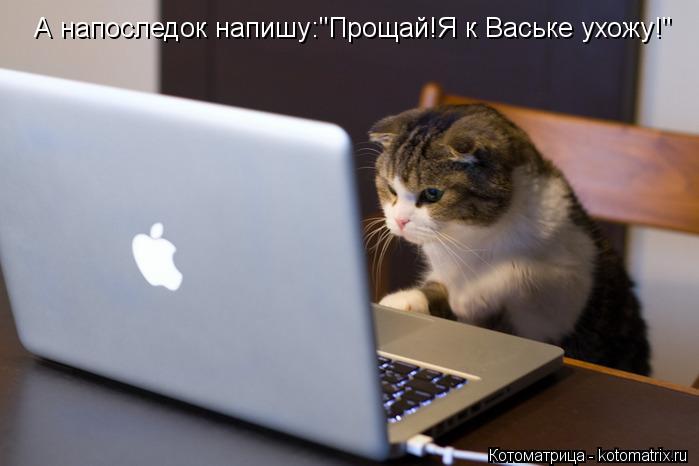 А напоследок напишу:"Прощай!Я к Ваське ухожу!"... Котоматрица: А напоследок напишу:"Прощай!Я к Ваське ухожу!"