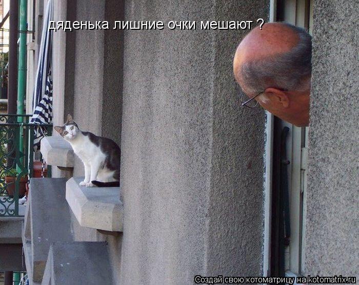 дяденька лишние очки мешают ?... Котоматрица: дяденька лишние очки мешают ?