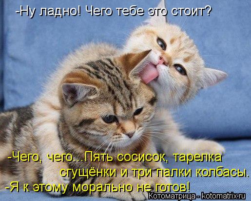 -Ну ладно! Чего тебе это стоит? -Чего, чего...Пять сосисок, тарелка сгущёнки и три палки колбасы. -Я... Котоматрица: -Ну ладно! Чего тебе это стоит? -Чего, чего...Пять сосисок, тарелка сгущёнки и три палки колбасы. -Я к этому морально не готов!