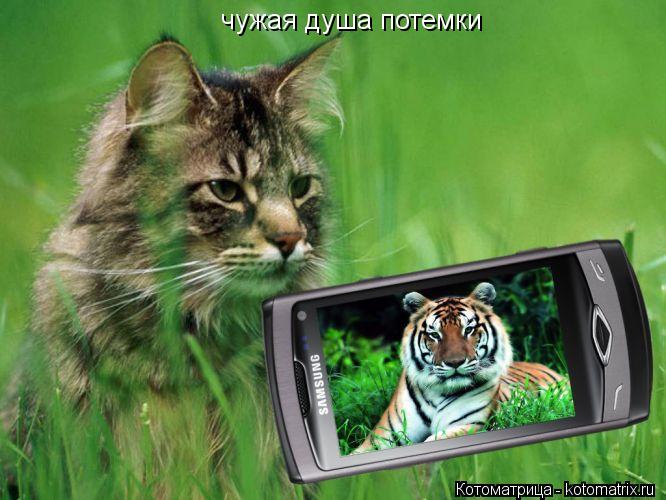 чужая душа потемки... Котоматрица: чужая душа потемки
