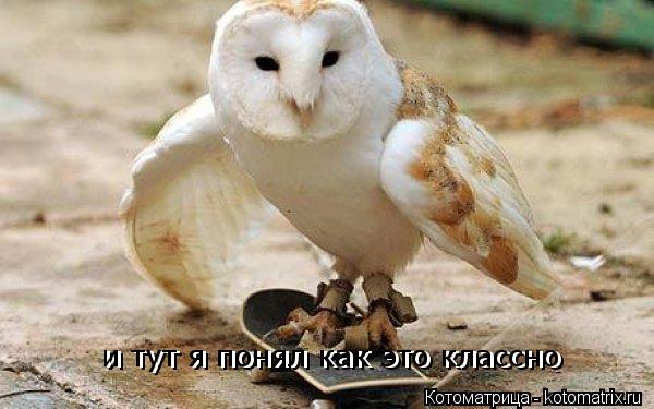 и тут я понял как это классно и тут я понял как это классно... Котоматрица: и тут я понял как это классно и тут я понял как это классно