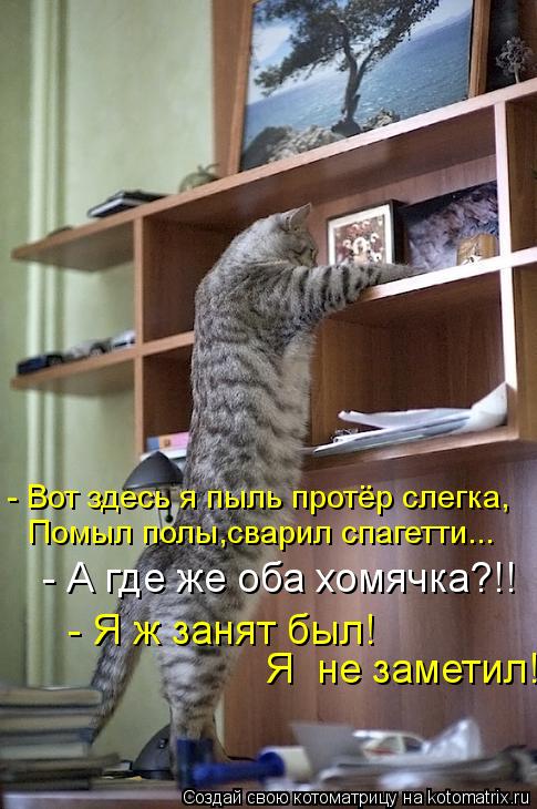 - Вот здесь я пыль протёр слегка, Помыл полы,сварил спагетти... - А где же оба хомячка?!! - Я ж з... Котоматрица: - Вот здесь я пыль протёр слегка, Помыл полы,сварил спагетти... - А где же оба хомячка?!! - Я ж занят был! Я не заметил!!!