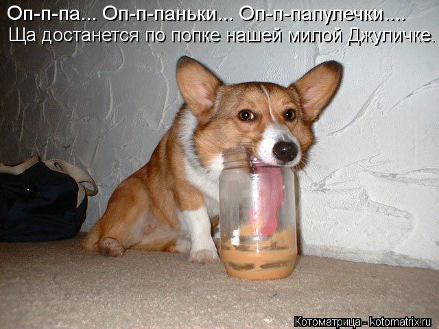 Оп-п-па... Оп-п-паньки... Оп-п-папулечки.... Ща достанется по попке нашей милой Джуличке.... Котоматрица: Оп-п-па... Оп-п-паньки... Оп-п-папулечки.... Ща достанется по попке нашей милой Джуличке.