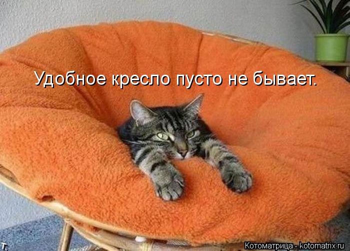 Удобное кресло пусто не бывает.... Котоматрица: Удобное кресло пусто не бывает.