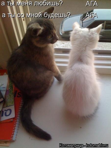 а ты меня любишь а ты меня любишь? а ты со мной будешь? АГА АГА... Котоматрица: а ты меня любишь а ты меня любишь? а ты со мной будешь? АГА АГА