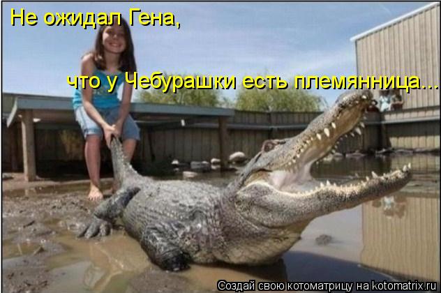 Не ожидал Гена, что у Чебурашки есть племянница...... Котоматрица: Не ожидал Гена, что у Чебурашки есть племянница...