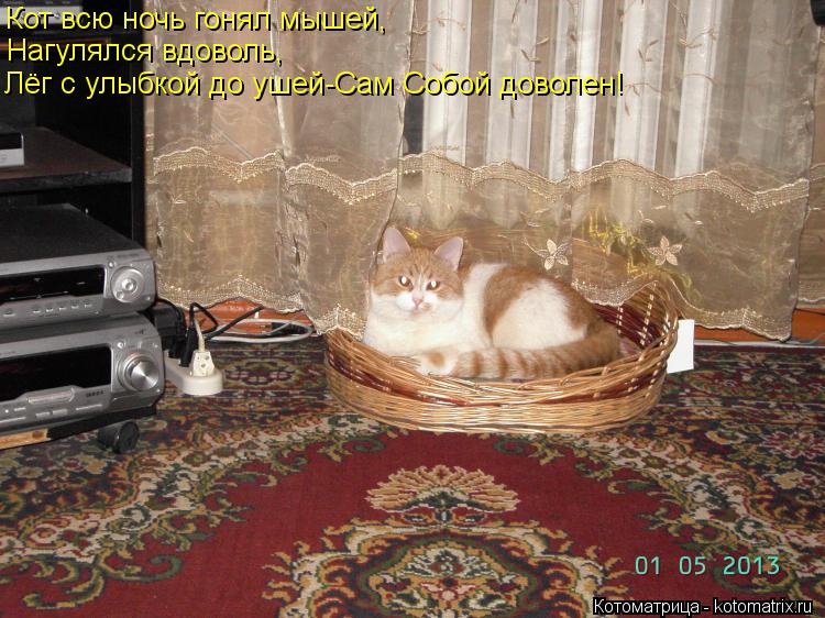 Кот всю ночь гонял мышей, Нагулялся вдоволь, Лёг с улыбкой до ушей-Сам Собой доволен!... Котоматрица: Кот всю ночь гонял мышей, Нагулялся вдоволь, Лёг с улыбкой до ушей-Сам Собой доволен!