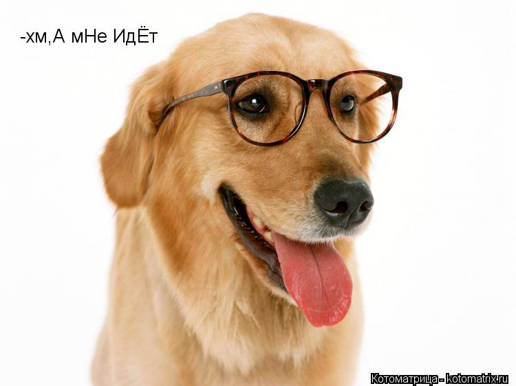 -хм,А мНе ИдЁт... Котоматрица: -хм,А мНе ИдЁт