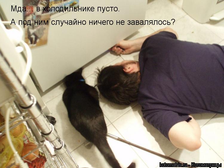 Мда... в холодильнике пусто. А под ним случайно ничего не завалялось?... Котоматрица: Мда... в холодильнике пусто. А под ним случайно ничего не завалялось?