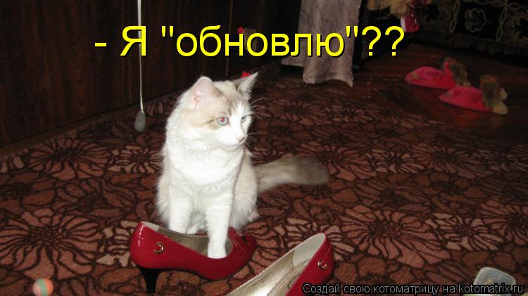 - Я "обновлю"??... Котоматрица: - Я "обновлю"??