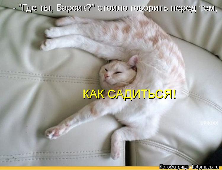 - "Где ты, Барсик?" стоило говорить перед тем, КАК САДИТЬСЯ!... Котоматрица: - "Где ты, Барсик?" стоило говорить перед тем, КАК САДИТЬСЯ!