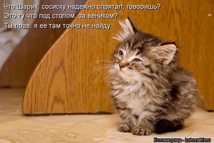 Это ту что под столом, за веником? Ты прав, я ее там точно Ты прав, я ее там точно не найду. Ты прав,... Котоматрица: Это ту что под столом, за веником? Ты прав, я ее там точно Ты прав, я ее там точно не найду. Ты прав, я ее там точно не найду. Что Шарик, сосиску н