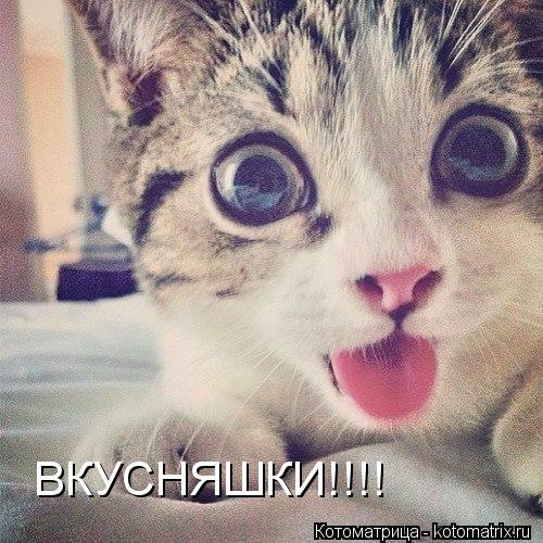 ВКУСНЯШКИ!!!!... Котоматрица: ВКУСНЯШКИ!!!!