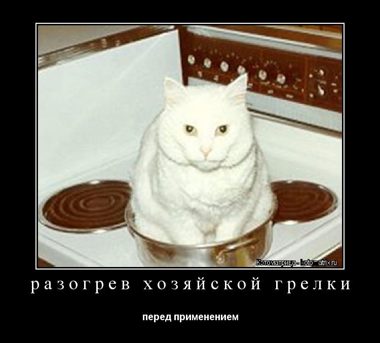 разогрев хозяйской грелки перед применением... Котоматрица: разогрев хозяйской грелки перед применением