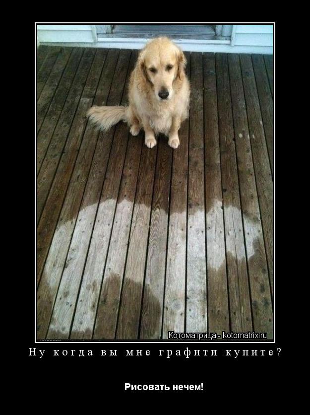 Ну когда вы мне графити купите? Рисовать нечем!... Котоматрица: Ну когда вы мне графити купите? Рисовать нечем!