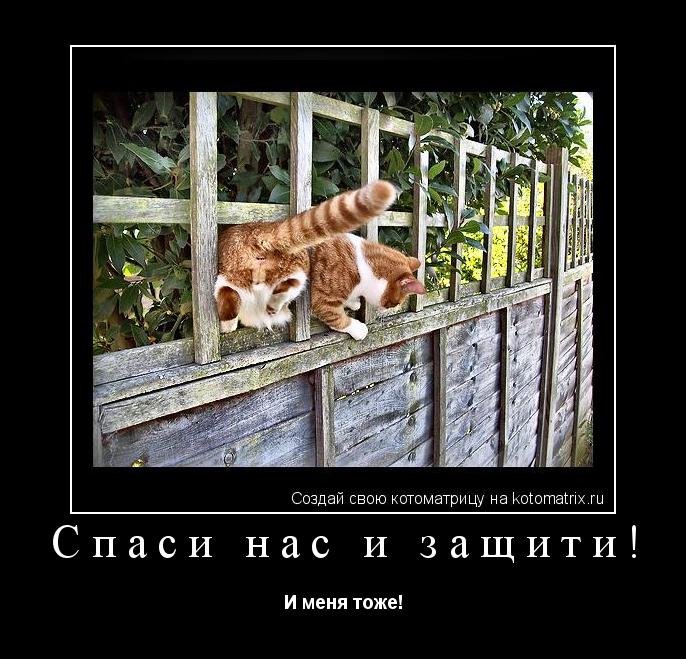 Спаси нас и защити! И меня тоже!... Котоматрица: Спаси нас и защити! И меня тоже!