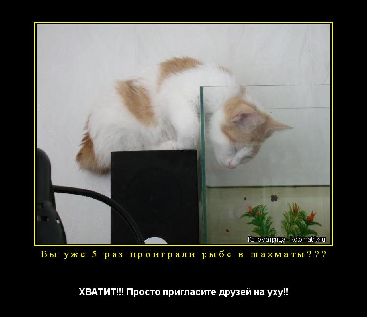 Вы уже 5 раз проиграли рыбе в шахматы??? ХВАТИТ!!! Просто пригласите друзей на уху!!... Котоматрица: Вы уже 5 раз проиграли рыбе в шахматы??? ХВАТИТ!!! Просто пригласите друзей на уху!!