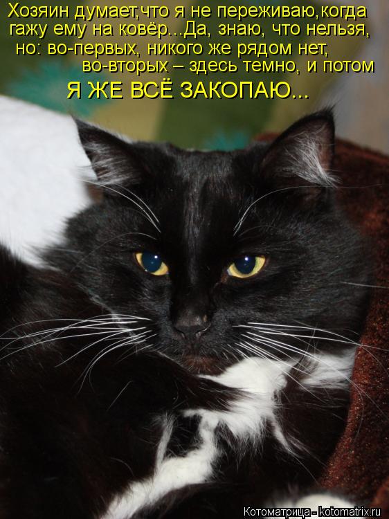 Хозяин думает,что я не переживаю,когда гажу ему на ковёр...Да, знаю, что нельзя, но: во-первых, нико... Котоматрица: Хозяин думает,что я не переживаю,когда гажу ему на ковёр...Да, знаю, что нельзя, но: во-первых, никого же рядом нет, во-вторых – здесь темно, и
