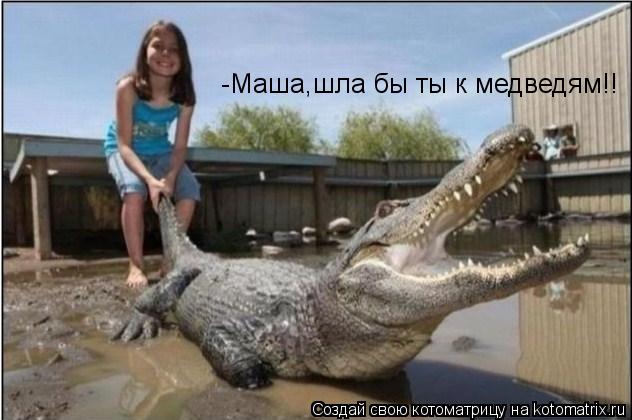 -Маша,шла бы ты к медведям!!... Котоматрица: -Маша,шла бы ты к медведям!!