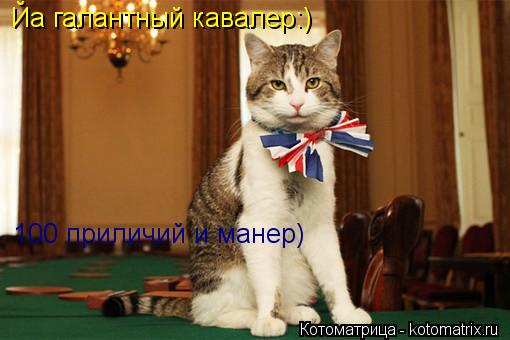 Йа галантный кавалер:) 100 приличий и манер)... Котоматрица: Йа галантный кавалер:) 100 приличий и манер)