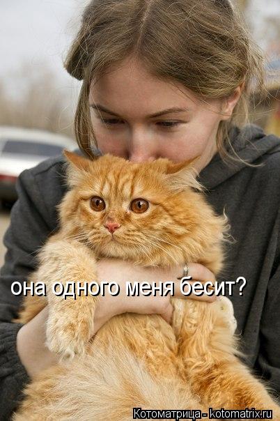 она одного меня бесит?... Котоматрица: она одного меня бесит?