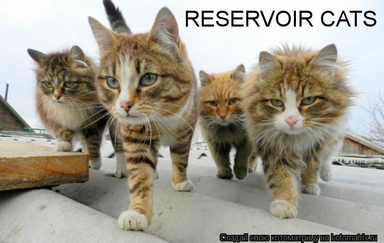 RESERVOIR CATS... Котоматрица: RESERVOIR CATS