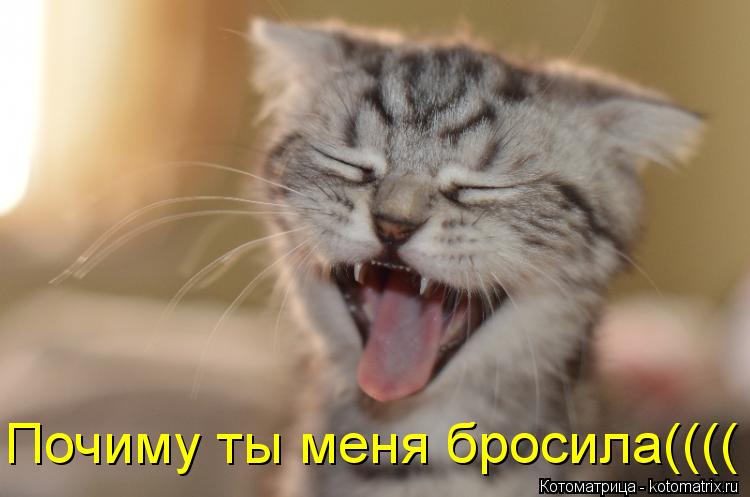 Почиму ты меня бросила((((... Котоматрица: Почиму ты меня бросила((((