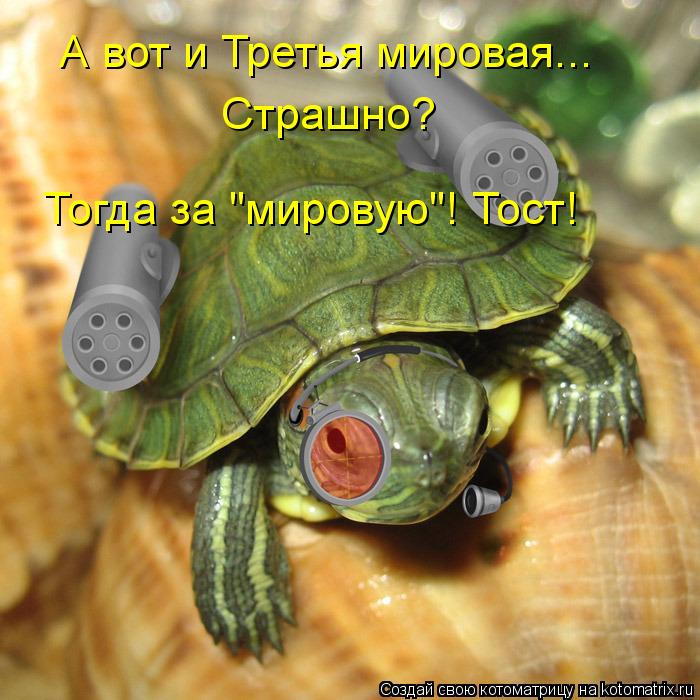 А вот и Третья мировая... Страшно? Тогда за "мировую"! Тост!... Котоматрица: А вот и Третья мировая... Страшно? Тогда за "мировую"! Тост!