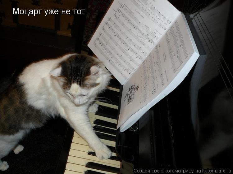 Моцарт уже не тот... Котоматрица: Моцарт уже не тот