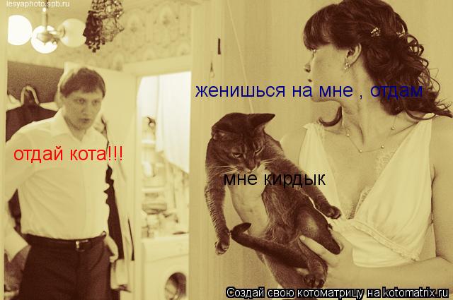 отдай кота!!! женишься на мне , отдам мне кирдык... Котоматрица: отдай кота!!! женишься на мне , отдам мне кирдык