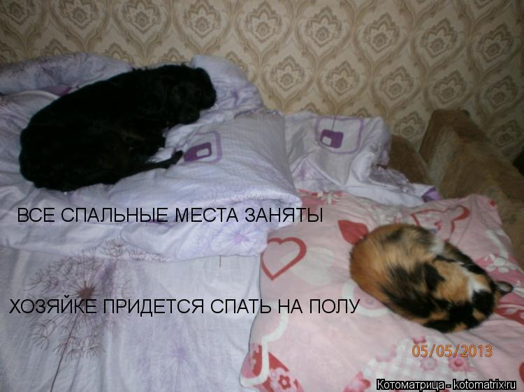 ВСЕ СПАЛЬНЫЕ МЕСТА ЗАНЯТЫ ХОЗЯЙКЕ ПРИДЕТСЯ СПАТЬ НА ПОЛУ... Котоматрица: ВСЕ СПАЛЬНЫЕ МЕСТА ЗАНЯТЫ ХОЗЯЙКЕ ПРИДЕТСЯ СПАТЬ НА ПОЛУ