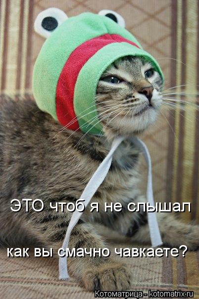 ЭТО чтоб я не слышал как вы смачно чавкаете?... Котоматрица: ЭТО чтоб я не слышал как вы смачно чавкаете?