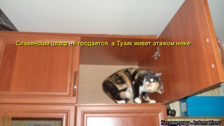 Славянский шкаф не продается, а Тузик живет этажом ниже... Котоматрица: Славянский шкаф не продается, а Тузик живет этажом ниже