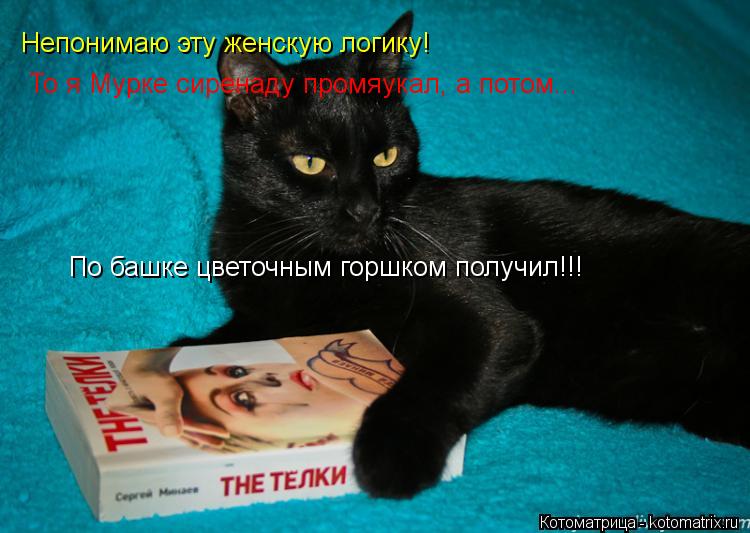 Непонимаю эту женскую логику! То я Мурке сиренаду промяукал, а потом... По башке цветочным горшком ... Котоматрица: Непонимаю эту женскую логику! То я Мурке сиренаду промяукал, а потом... По башке цветочным горшком получил!!!