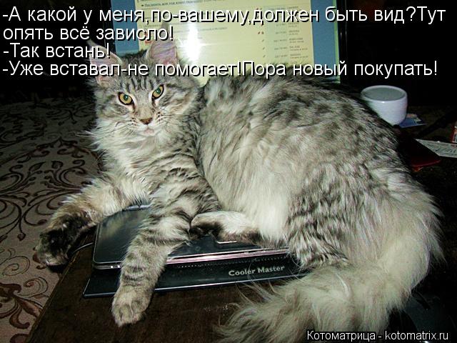 -А какой у меня,по-вашему,должен быть вид?Тут опять всё зависло! -Так встань! -Уже вставал-не помогае... Котоматрица: -А какой у меня,по-вашему,должен быть вид?Тут опять всё зависло! -Так встань! -Уже вставал-не помогает!Пора новый покупать!