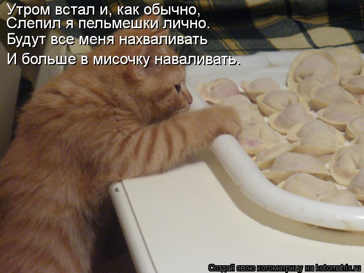 Утром встал и, как обычно, Слепил я пельмешки лично. Будут все меня нахваливать И больше в мисочку на... Котоматрица: Утром встал и, как обычно, Слепил я пельмешки лично. Будут все меня нахваливать И больше в мисочку наваливать.