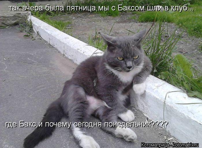 так.вчера была пятница,мы с Баксом шли в клуб.... где Бакс,и почему сегодня понедельник????... Котоматрица: так.вчера была пятница,мы с Баксом шли в клуб.... где Бакс,и почему сегодня понедельник????