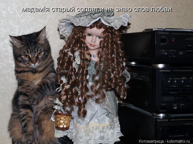 мадам!я старый солдат,и не знаю слов любви...... Котоматрица: мадам!я старый солдат,и не знаю слов любви...