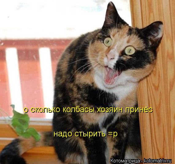 о сколько колбасы хозяин принёс надо стырить =р... Котоматрица: о сколько колбасы хозяин принёс надо стырить =р