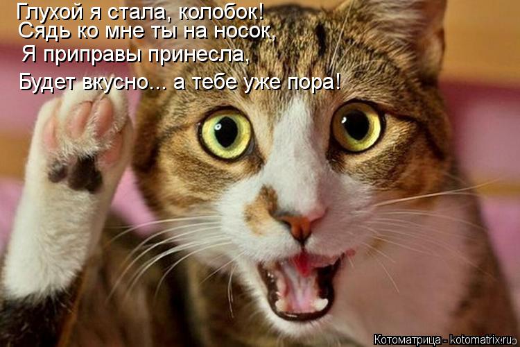 Глухой я стала, колобок! Сядь ко мне ты на носок, Я приправы принесла, Будет вкусно... а тебе уже пор... Котоматрица: Глухой я стала, колобок! Сядь ко мне ты на носок, Я приправы принесла, Будет вкусно... а тебе уже пора!