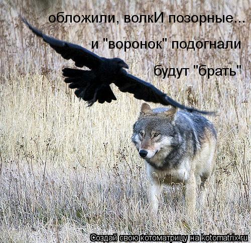 и "воронок" подогнали обложили, волкИ позорные... будут "брать"... Котоматрица: и "воронок" подогнали обложили, волкИ позорные... будут "брать"