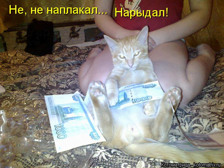 Не, не наплакал... Нарыдал!... Котоматрица: Не, не наплакал... Нарыдал!