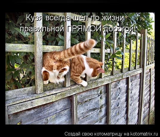 Кузя всегда шел по жизни правильной ПРЯМОЙ дорогой!... Котоматрица: Кузя всегда шел по жизни правильной ПРЯМОЙ дорогой!