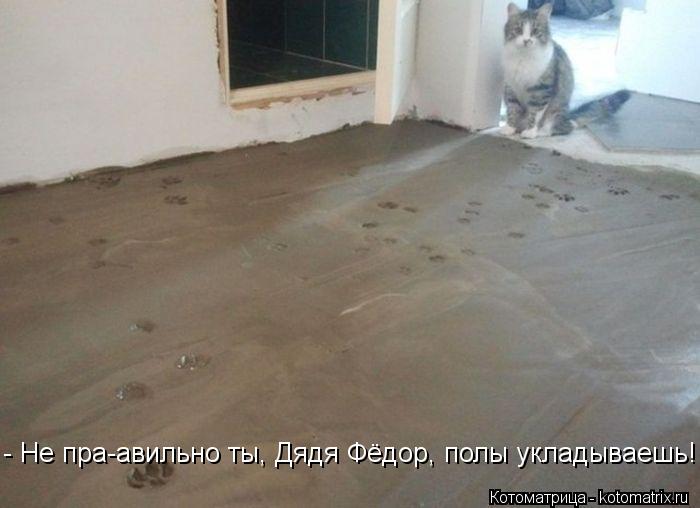 - Не пра-авильно ты, Дядя Фёдор, полы укладываешь!... Котоматрица: - Не пра-авильно ты, Дядя Фёдор, полы укладываешь!