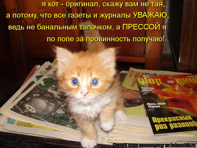 а потому, что все газеты и журналы УВАЖАЮ, я кот - оригинал, скажу вам не тая, ведь не банальным тапо... Котоматрица: а потому, что все газеты и журналы УВАЖАЮ, я кот - оригинал, скажу вам не тая, ведь не банальным тапочком, а ПРЕССОЙ я по попе за провинность по